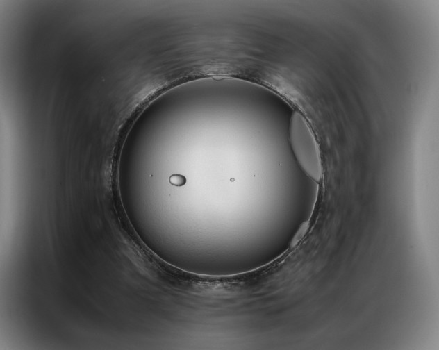 X0000087370297200704201232