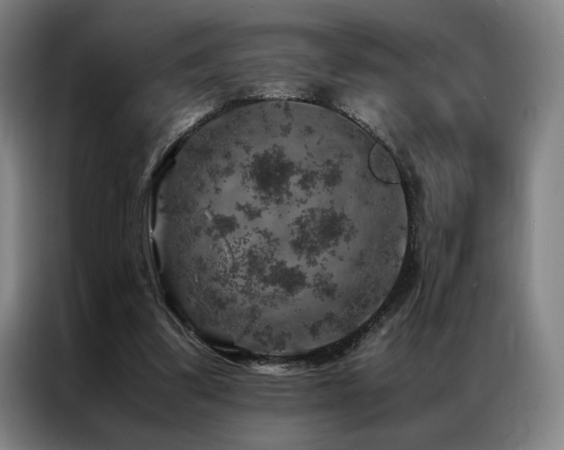 X0000087370299200704201232