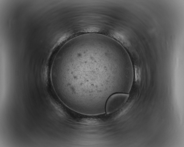 X0000087370300200704201232