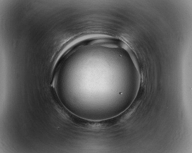 X0000087370301200704201232
