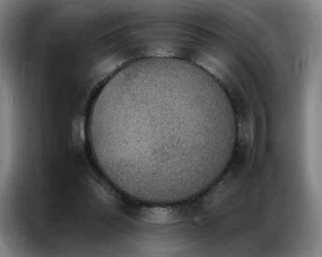 X0000087370302200704201232