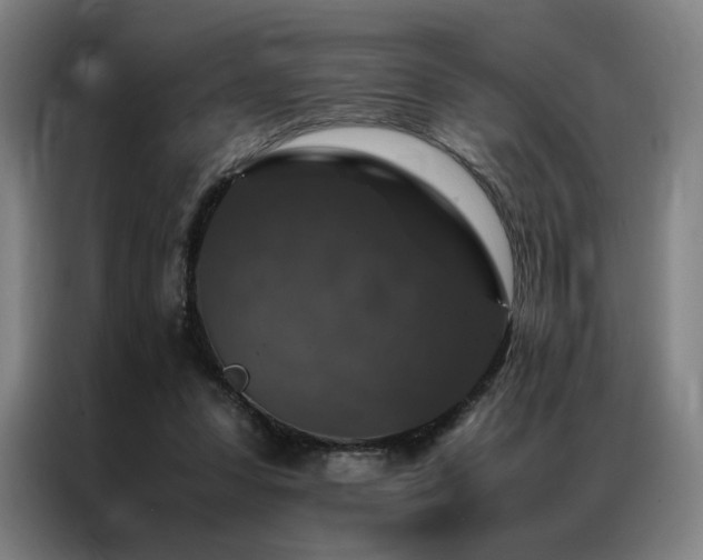 X0000087370303200704201232