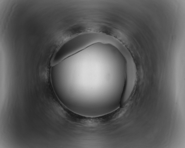 X0000087370305200704201232