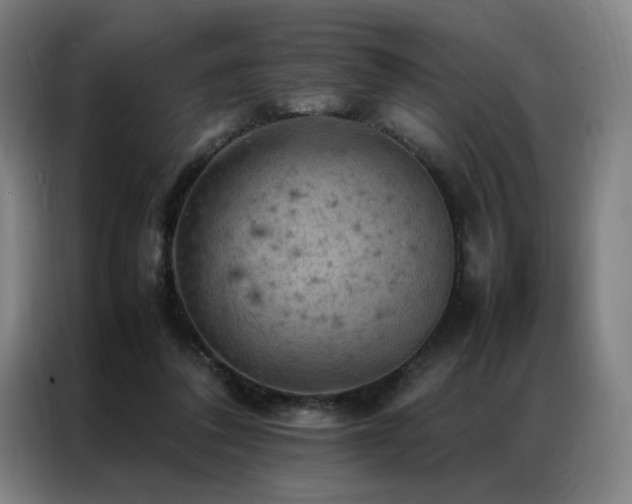 X0000087370308200704201232