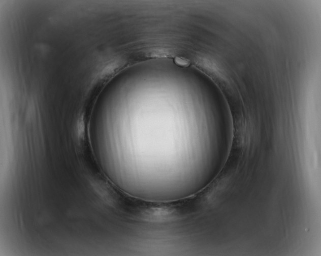 X0000087370310200704201232