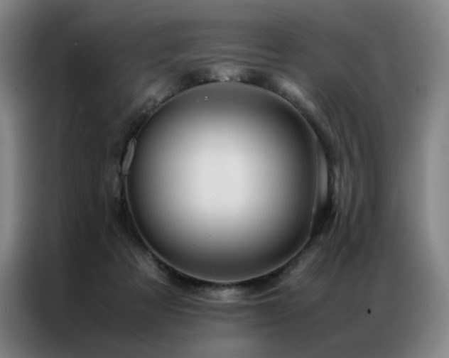 X0000087370313200704201232