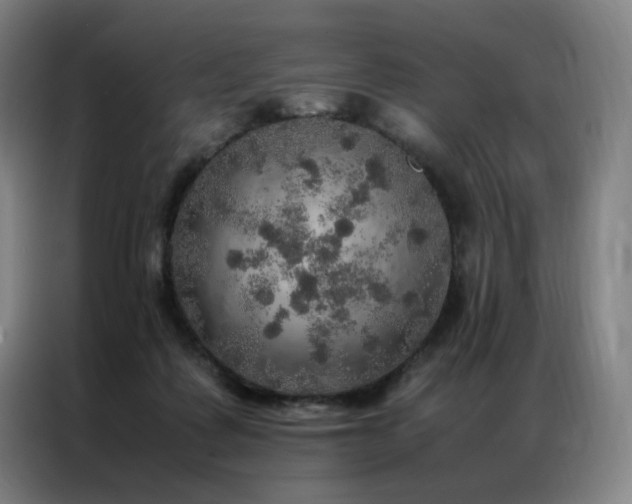 X0000087370315200704201232