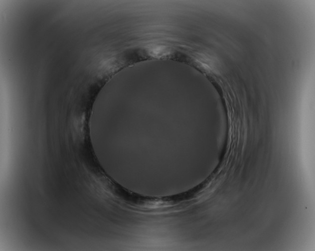 X0000087370319200704201232