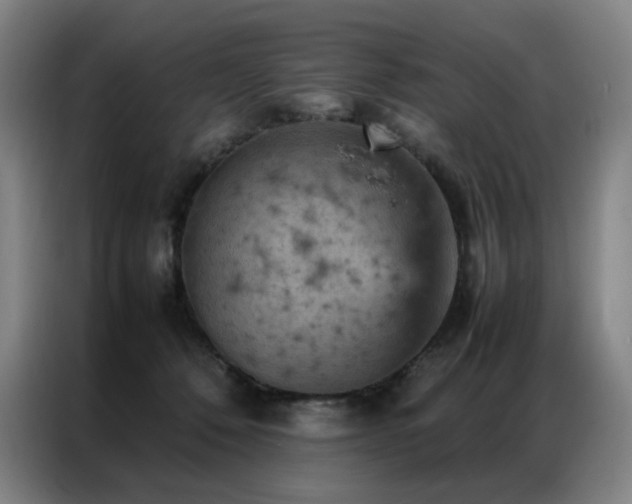 X0000087370320200704201232