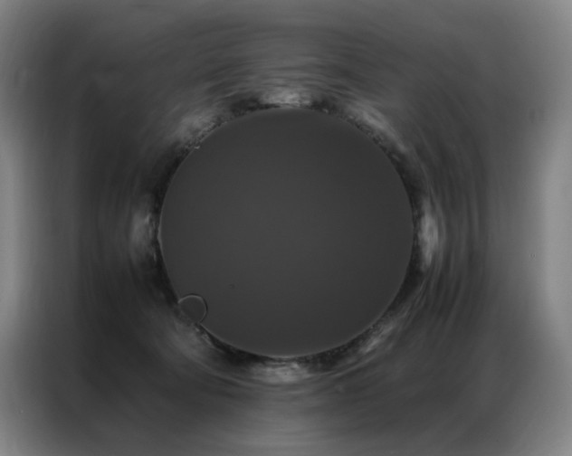 X0000087370322200704201232