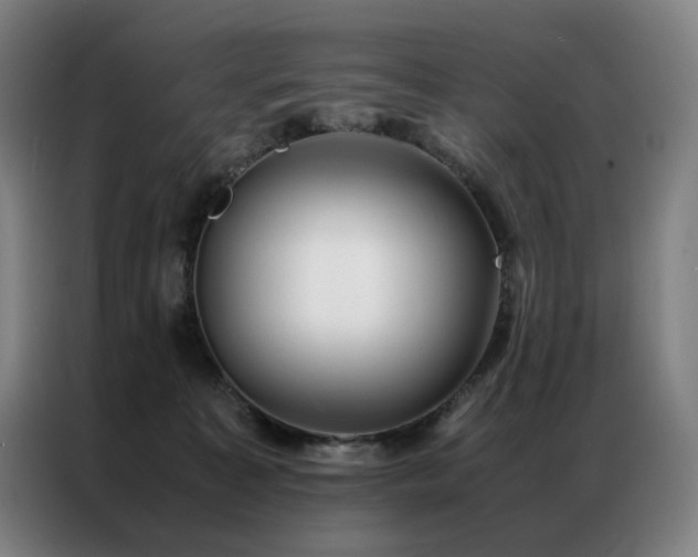 X0000087370323200704201232