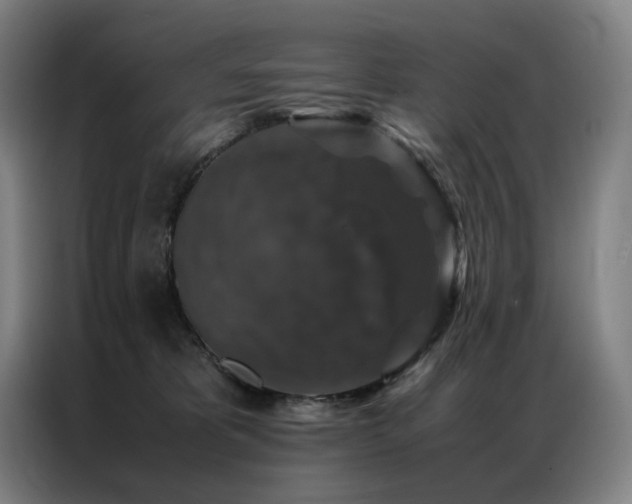X0000087370325200704201232