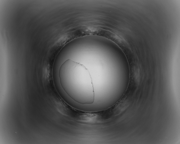 X0000087370328200704201232