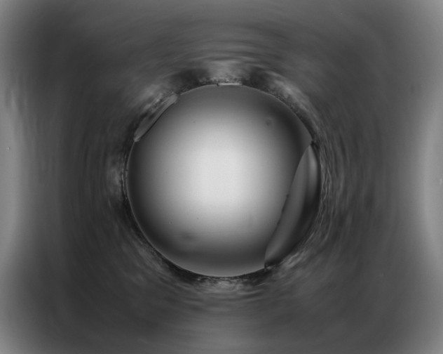 X0000087370329200704201232