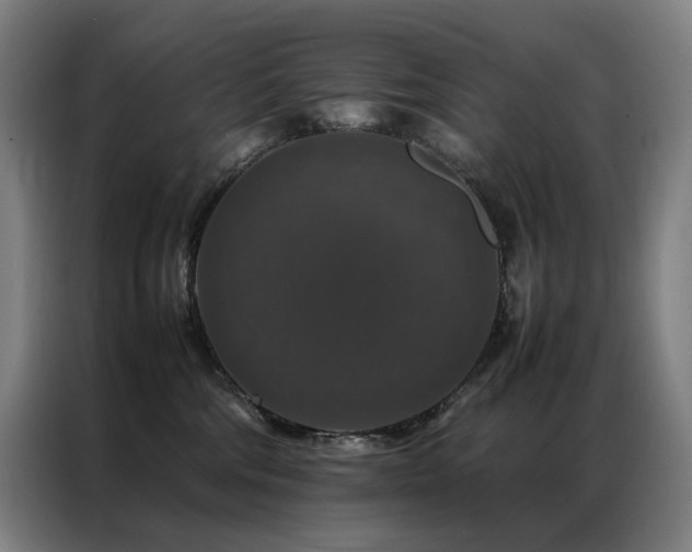 X0000087370330200704201232