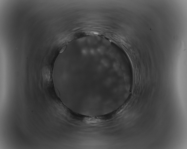 X0000087370331200704201232