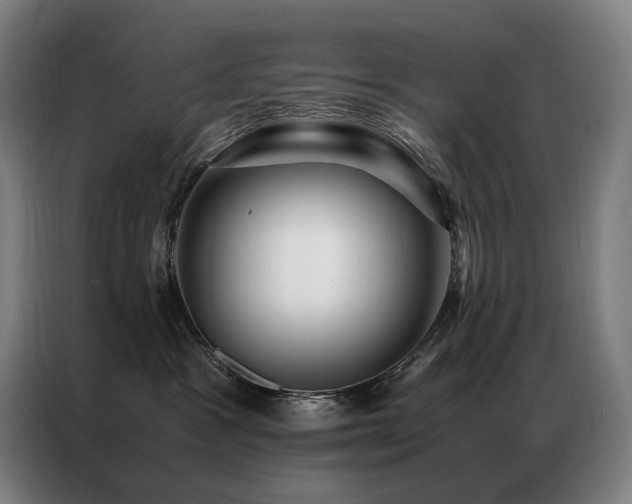 X0000087370333200704201232