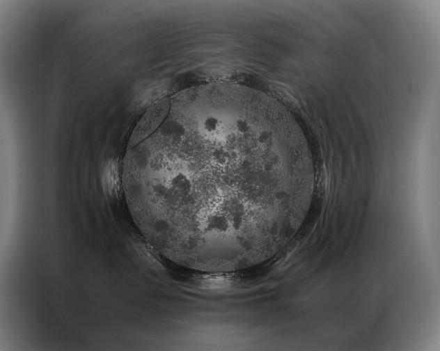 X0000087370335200704201232