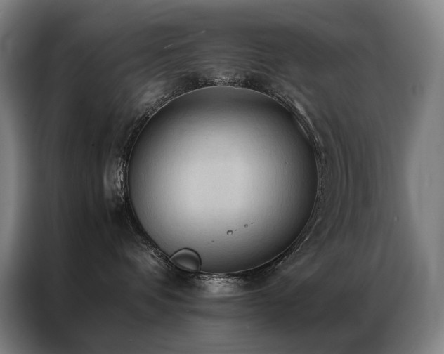 X0000087370336200704201232