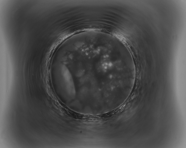 X0000087370337200704201231