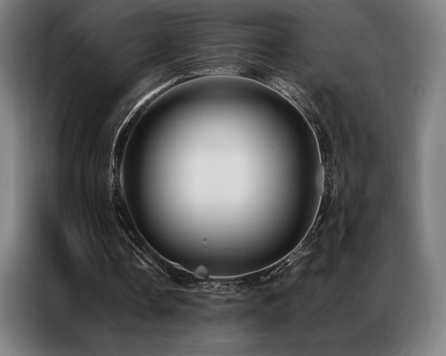 X0000087370338200704201231