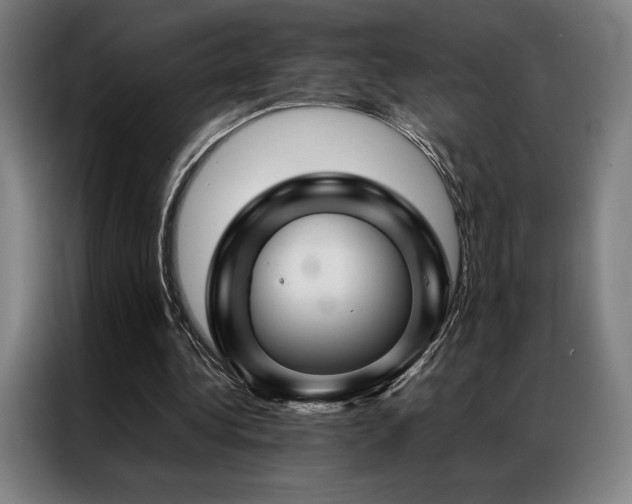 X0000087370340200704201231