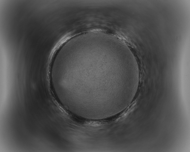 X0000087370341200704201232