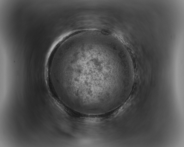 X0000087370342200704201232