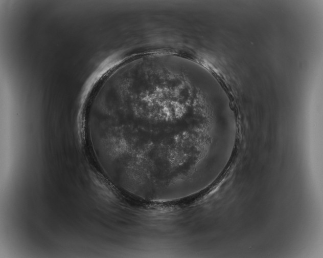 X0000087370343200704201232