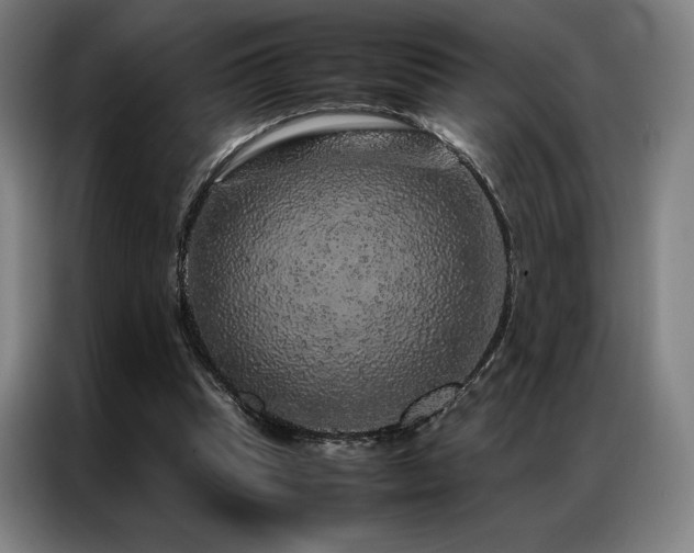 X0000087370345200704201232
