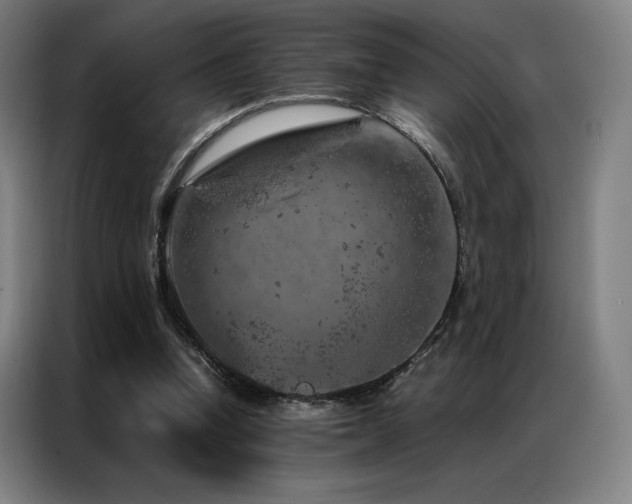 X0000087370346200704201232
