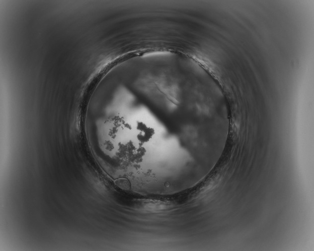 X0000087370347200704201232