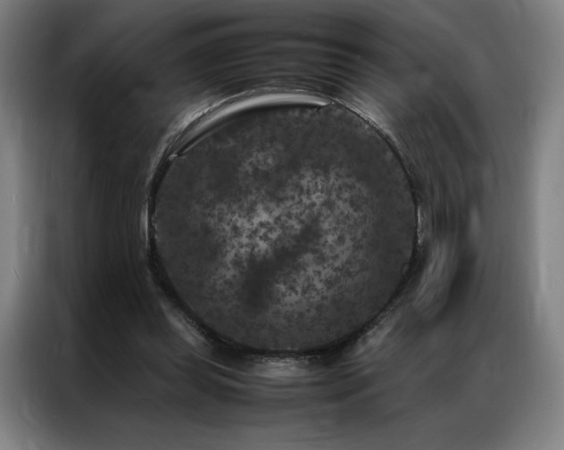 X0000087370349200704201232