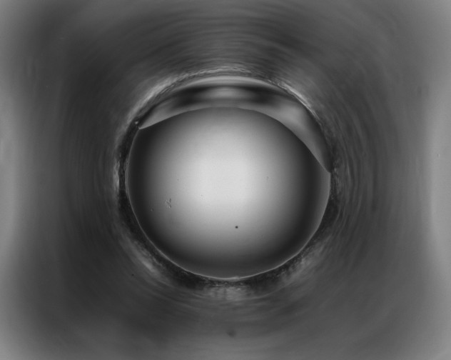 X0000087370350200704201232