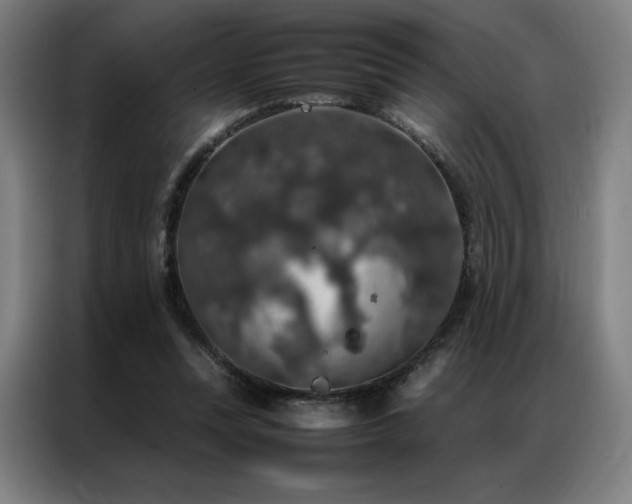 X0000087370351200704201232