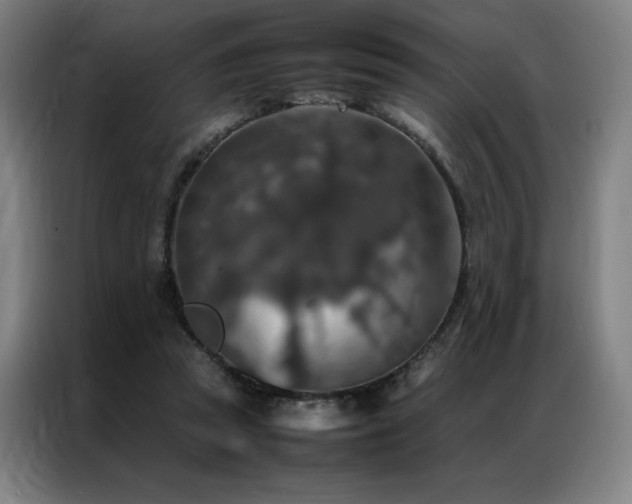 X0000087370353200704201232