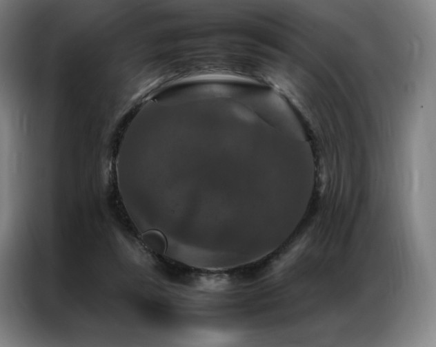 X0000087370355200704201232