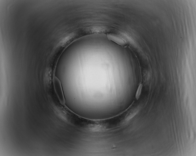 X0000087370356200704201232