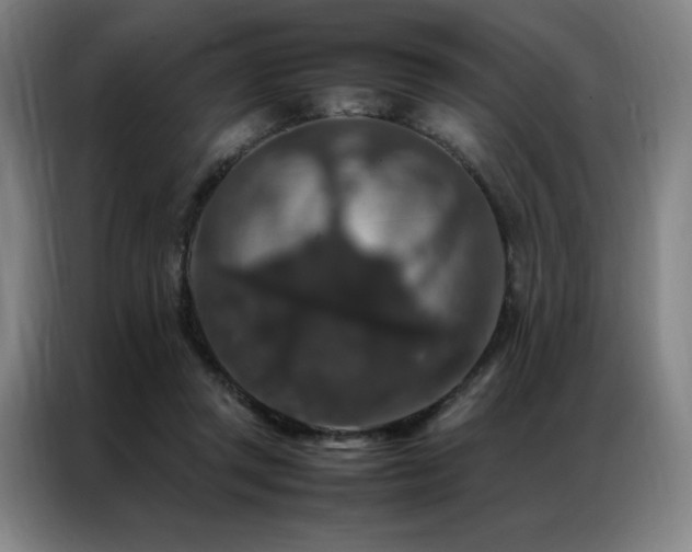 X0000087370357200704201232