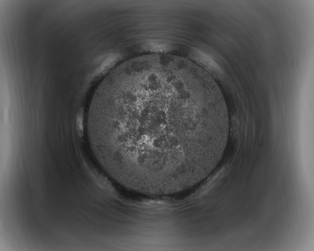 X0000087370358200704201232