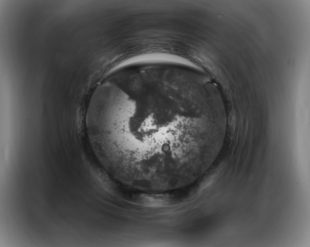 X0000087370359200704201232
