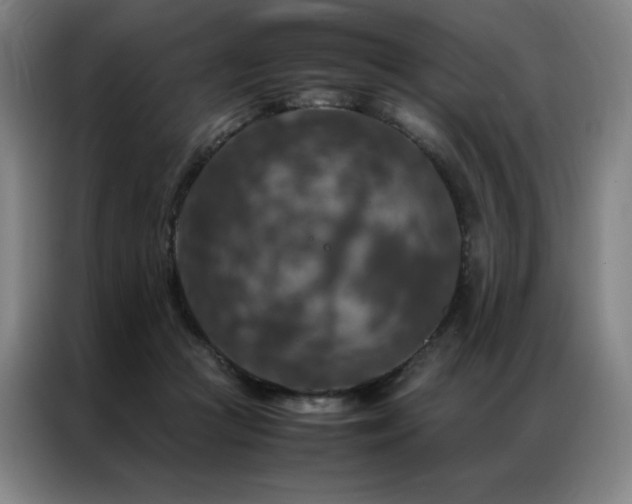 X0000087370361200704201232