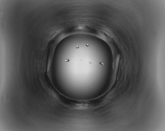 X0000087370362200704201232