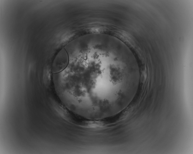 X0000087370363200704201232