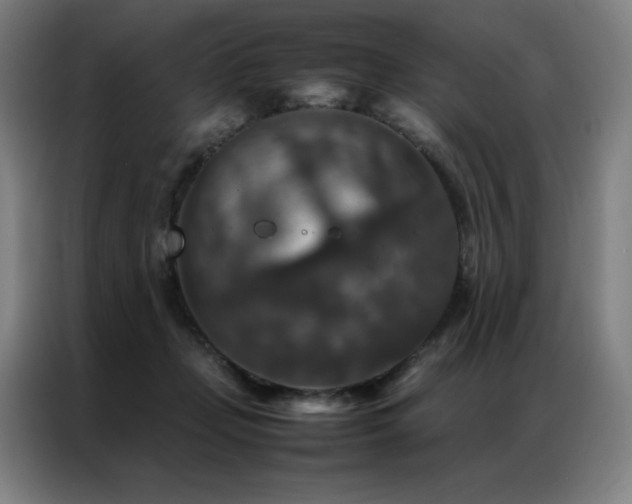 X0000087370365200704201232