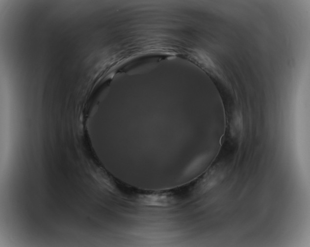 X0000087370366200704201232