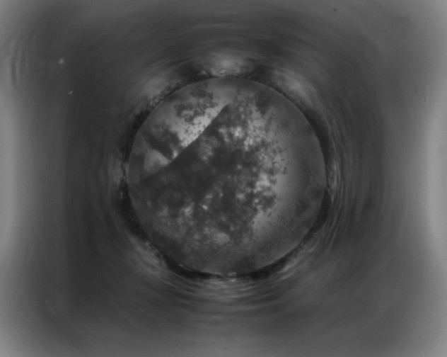 X0000087370367200704201232