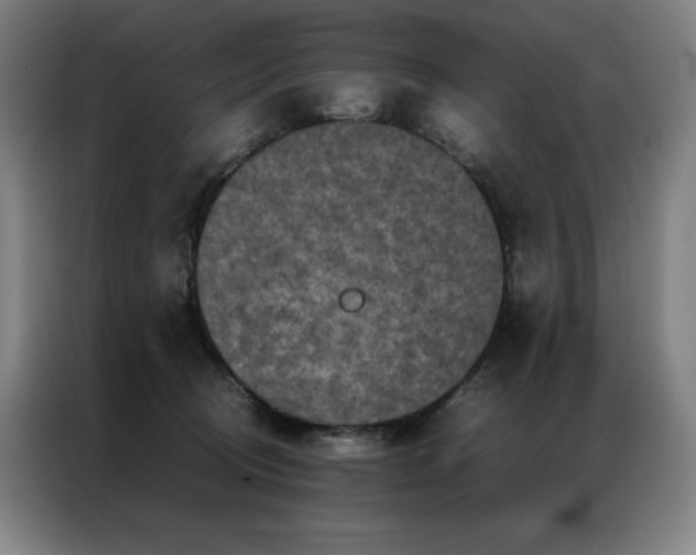 X0000087370370200704201232