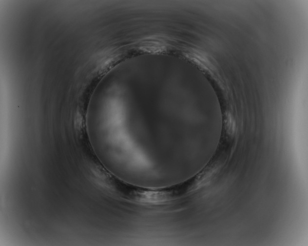 X0000087370371200704201232