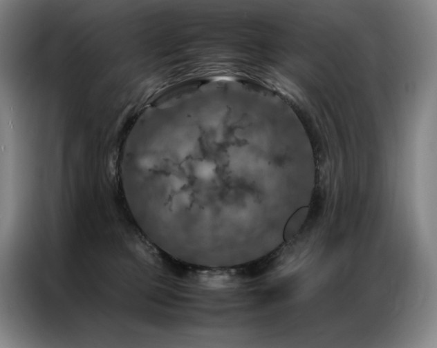 X0000087370373200704201232